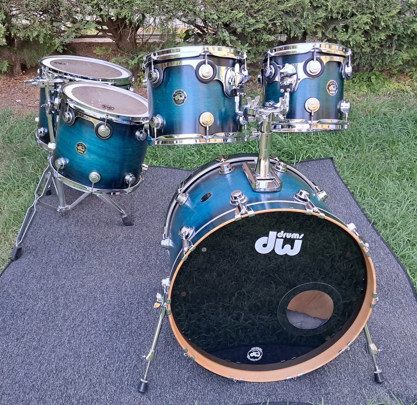 DW Collector's