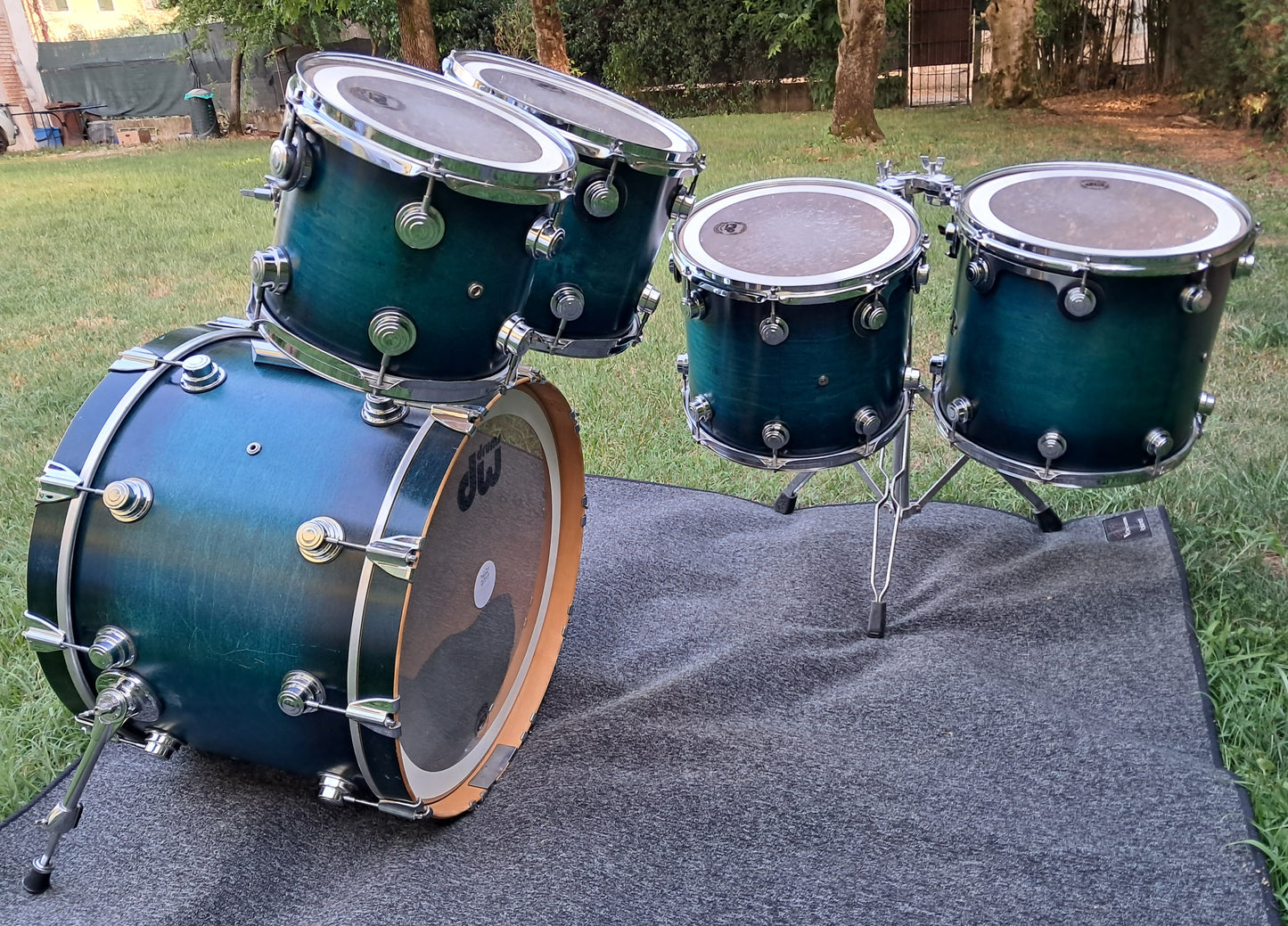 DW Collector's