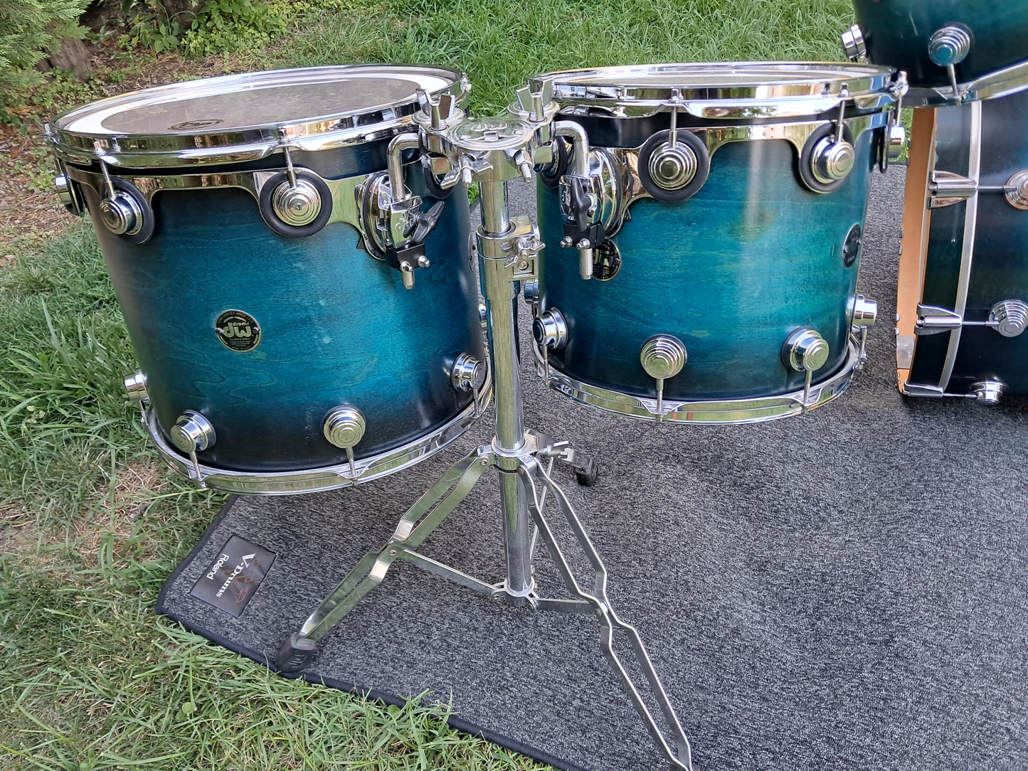 DW Collector's