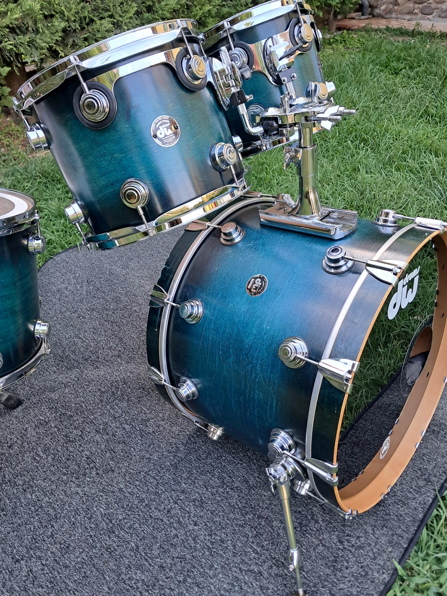 DW Collector's