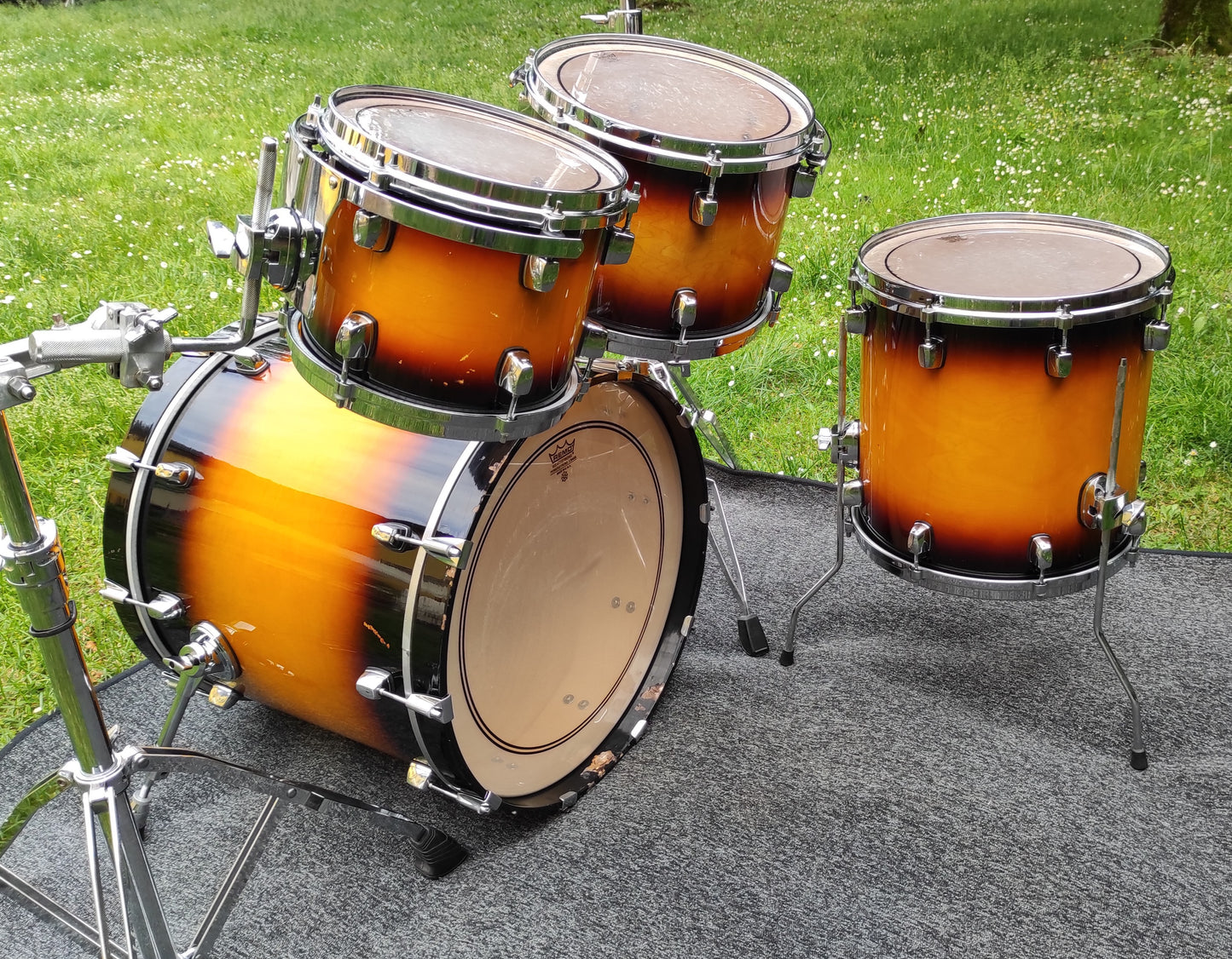 DDrum Custom Maple
