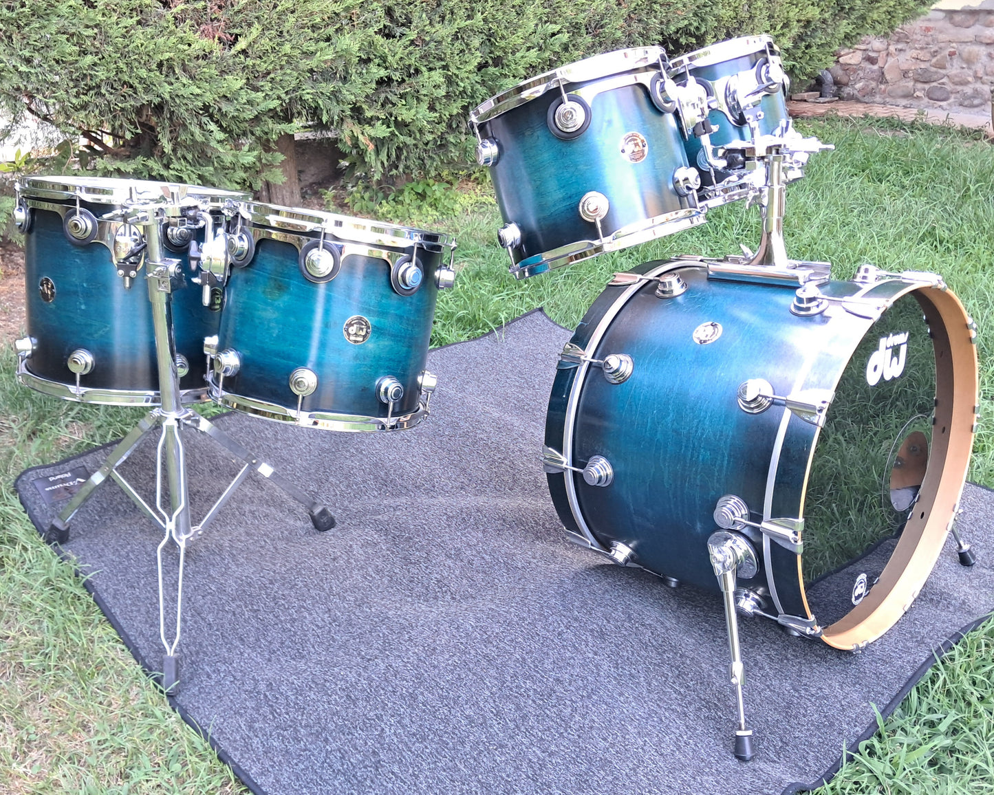 DW Collector's