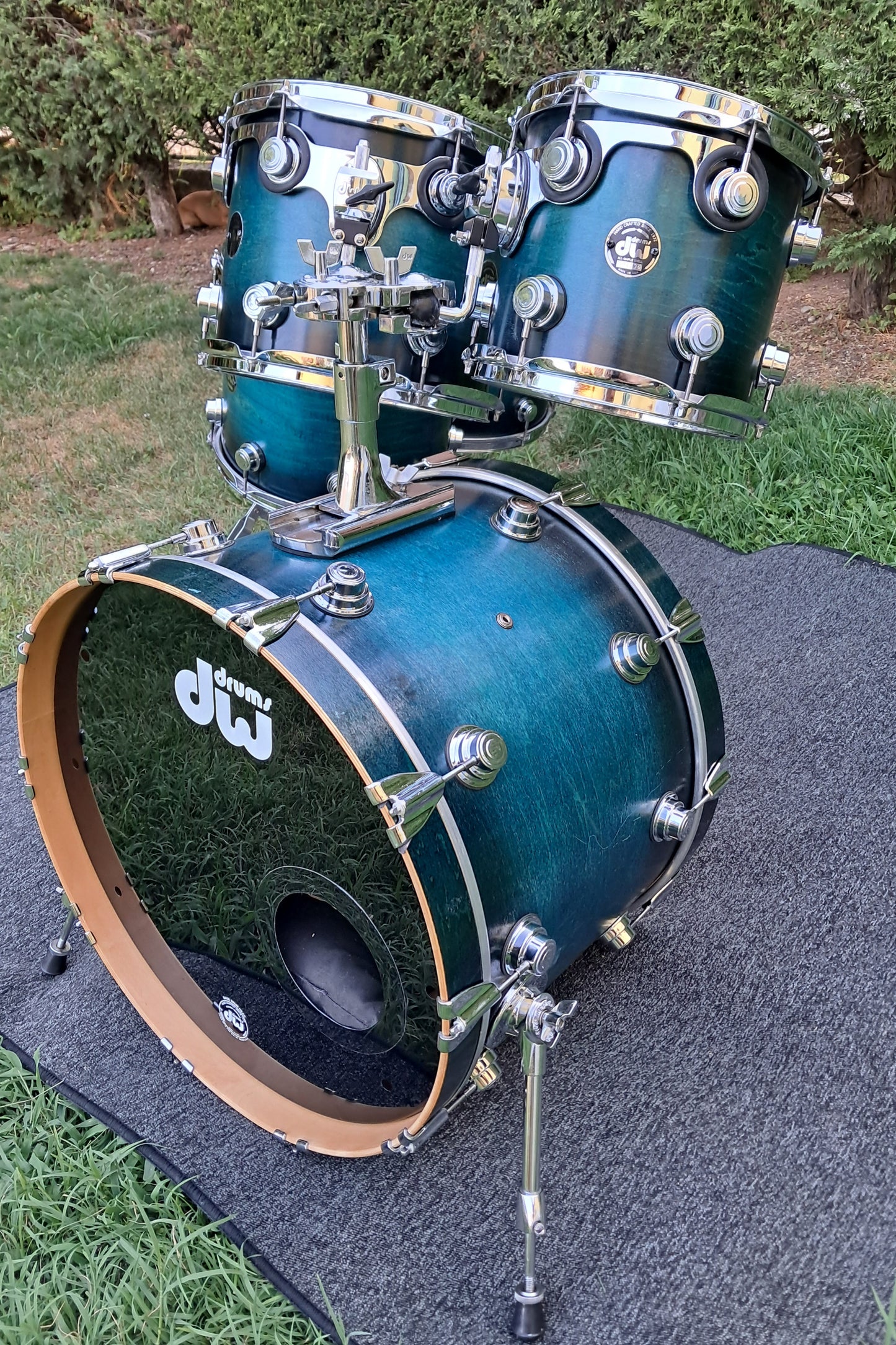 DW Collector's