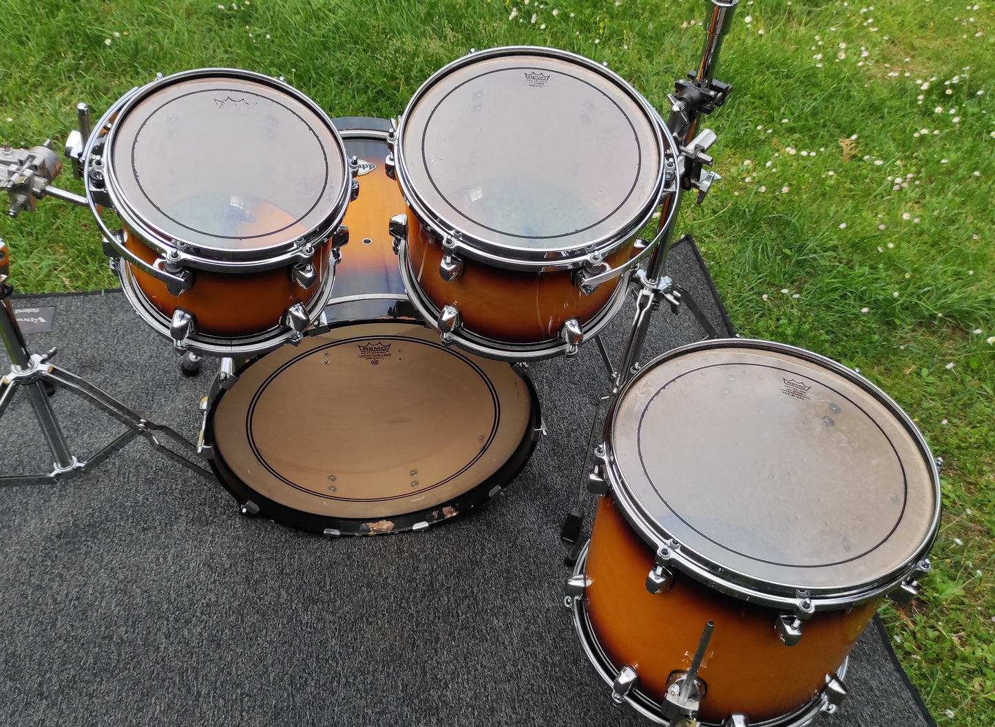 DDrum Custom Maple